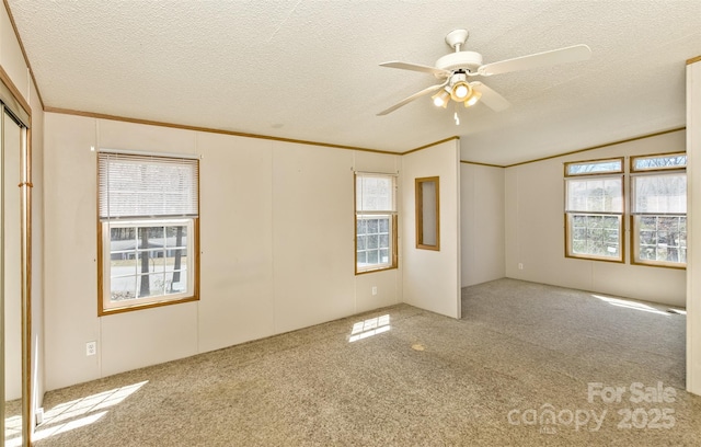 empty room featuring a healthy amount of sunlight, crown molding, carpet flooring, and a textured ceiling