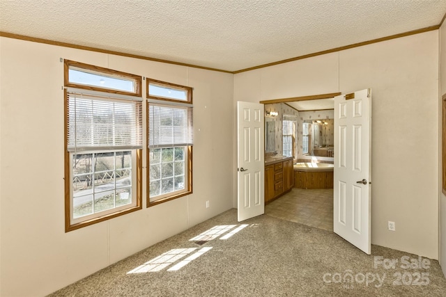 unfurnished room featuring light carpet, ornamental molding, and a textured ceiling