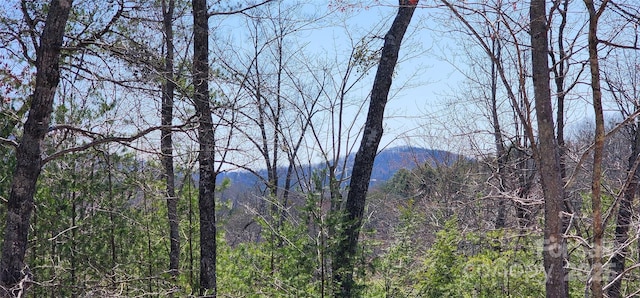 property view of mountains with a wooded view