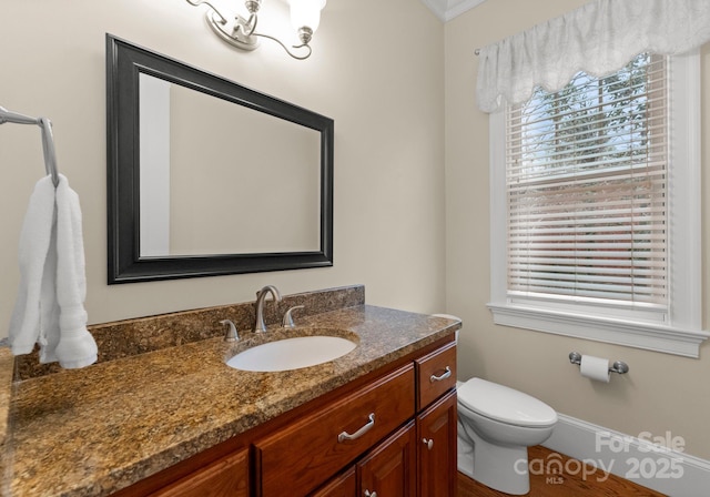 bathroom with toilet and vanity