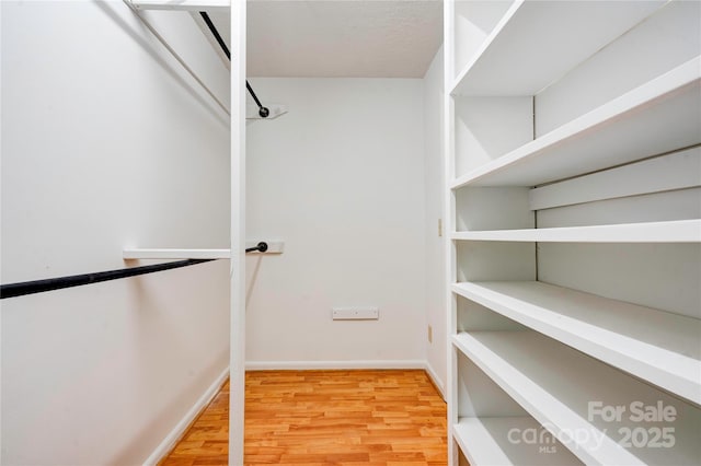 spacious closet featuring light wood finished floors