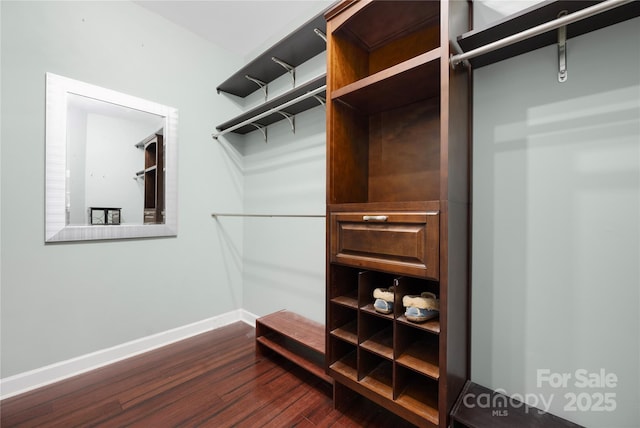 spacious closet featuring dark wood-style floors