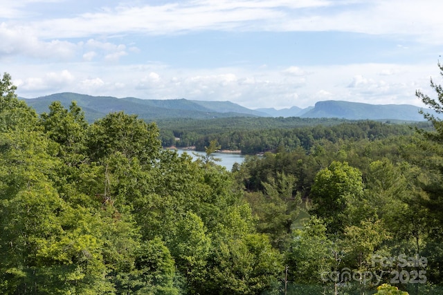 68 Cinch Knot Dr, Nebo, NC 28761 - view of mountain backdrop with a forest and a large body of water