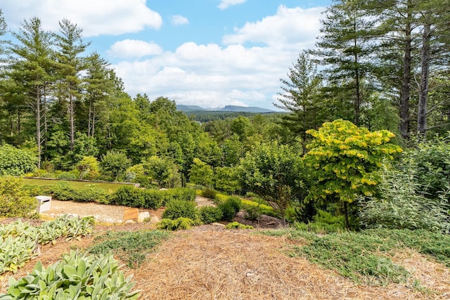 68 Cinch Knot Dr, Nebo, NC 28761 - mountain view featuring a heavily wooded area