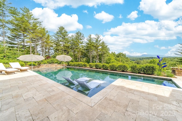 68 Cinch Knot Dr, Nebo, NC 28761 - outdoor pool featuring a patio