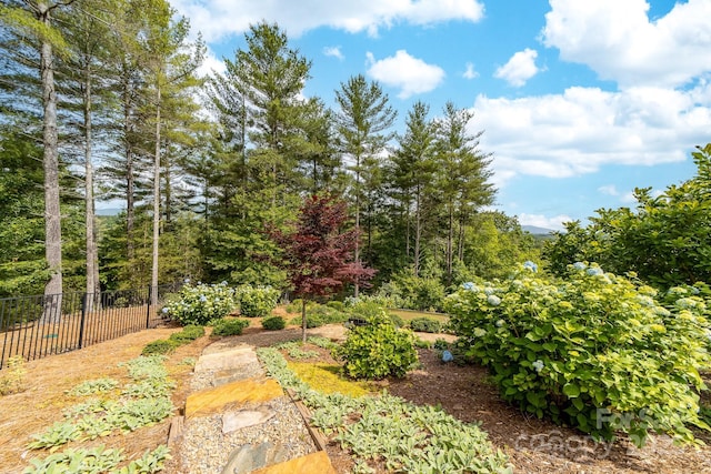 68 Cinch Knot Dr, Nebo, NC 28761 - view of yard with a vegetable garden