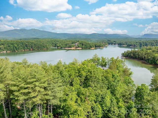 68 Cinch Knot Dr, Nebo, NC 28761 - water view featuring a forest and a mountain backdrop