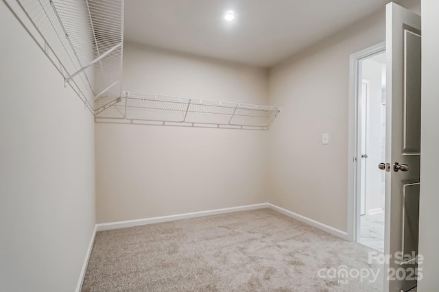 walk in closet featuring carpet flooring