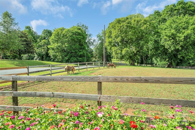 1900 Monterosa Rd, Concord, NC 28025 - photo 44