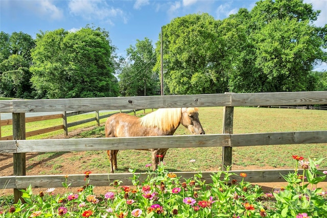 1900 Monterosa Rd, Concord, NC 28025 - photo 45