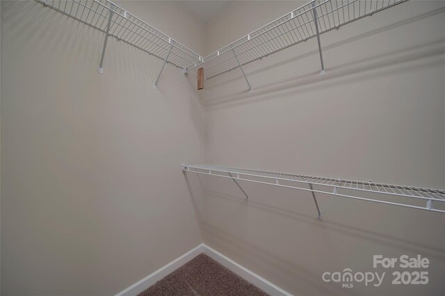 spacious closet with carpet