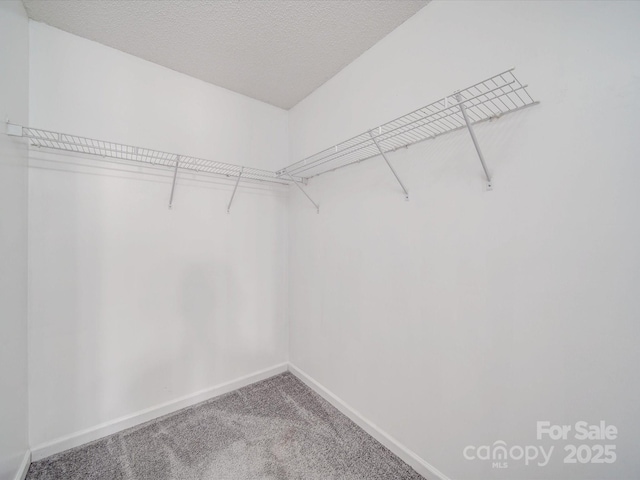 spacious closet with carpet floors