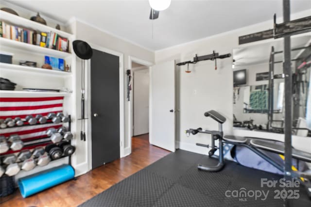 workout room with wood finished floors, a ceiling fan, and ornamental molding