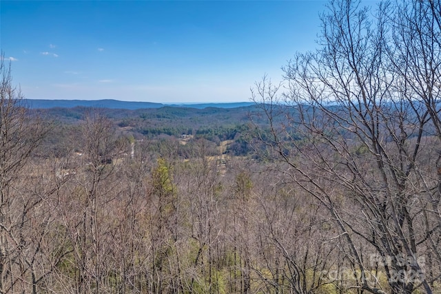 TBD Loganberry Lane, Lake Toxaway NC, 28747 land for sale