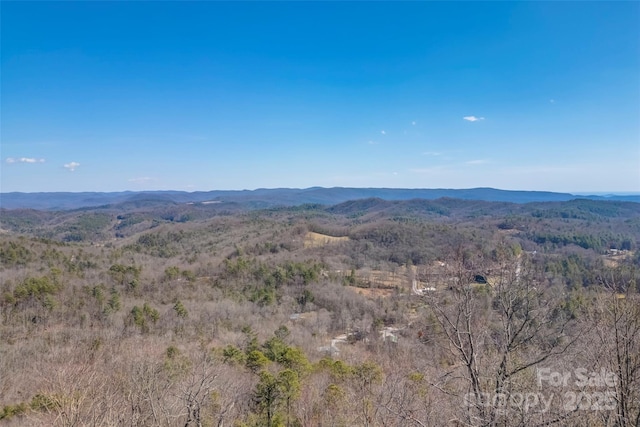 Listing photo 2 for TBD Loganberry Lane, Lake Toxaway NC 28747