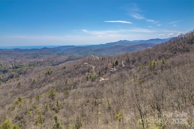 Listing photo 3 for TBD Loganberry Lane, Lake Toxaway NC 28747