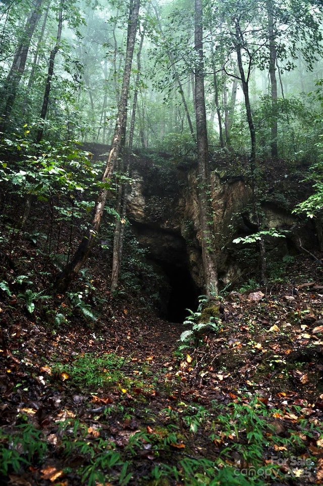 view of local wilderness with a wooded view