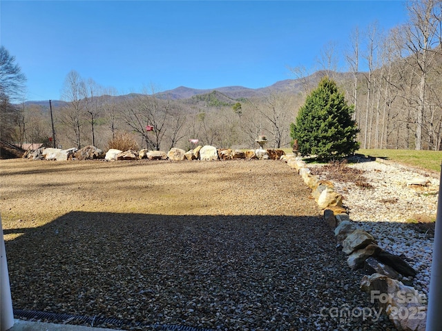 view of yard with a mountain view