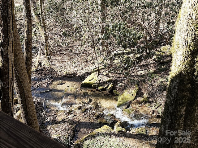 1080 Wolf Branch Rd, Marshall, NC 28753 - photo 3