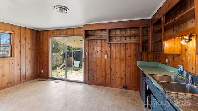 kitchen with a sink, baseboards, wooden walls, and open shelves