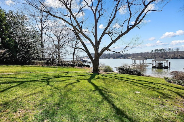 view of yard with a water view and a boat dock