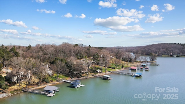 birds eye view of property with a forest view and a water view