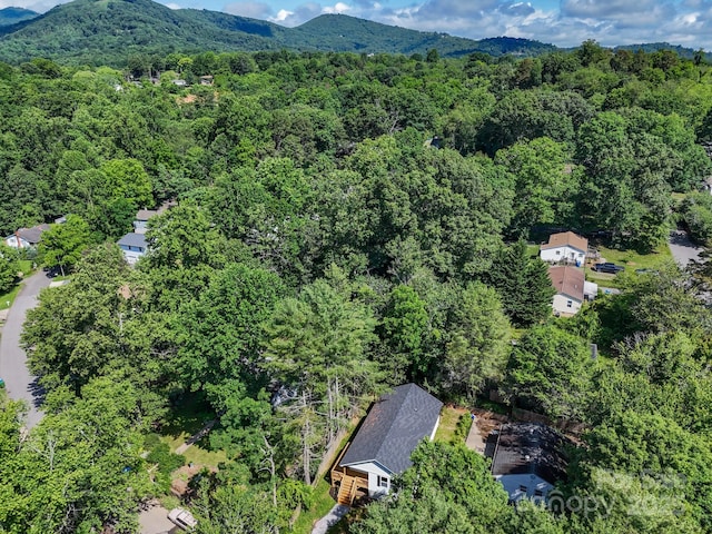44 Rosemary Rd, Asheville, NC 28806 - photo 37