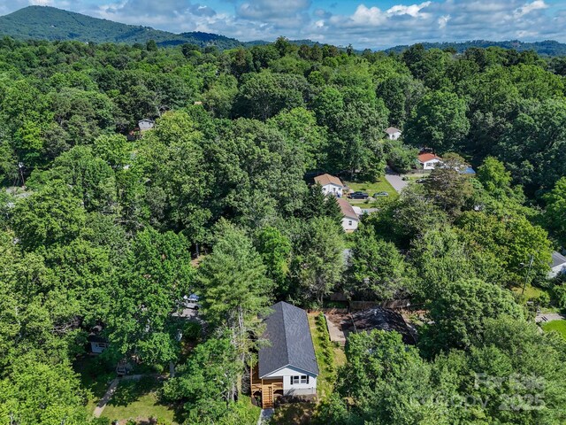 44 Rosemary Rd, Asheville, NC 28806 - photo 7