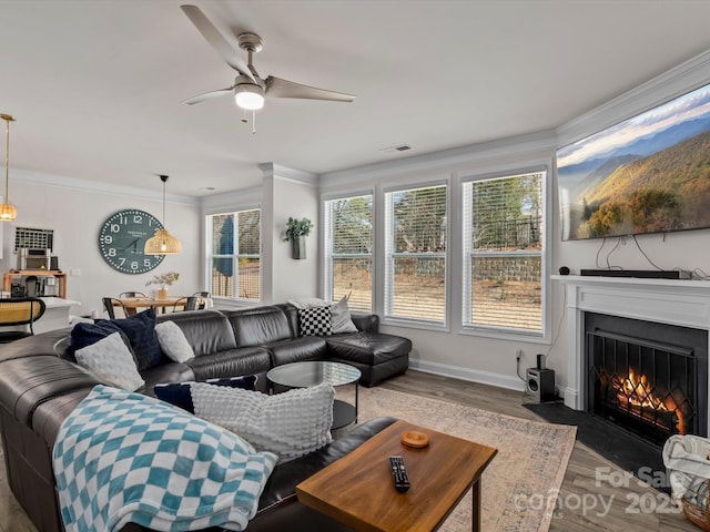 living area featuring wood finished floors, visible vents, baseboards, a fireplace with flush hearth, and ornamental molding