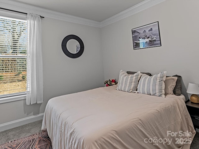 bedroom with carpet flooring, multiple windows, baseboards, and ornamental molding