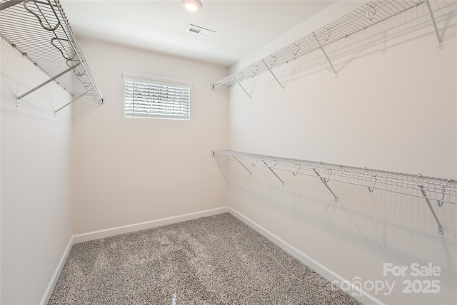 walk in closet featuring visible vents and carpet flooring