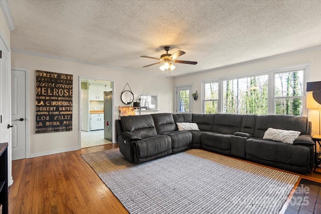 living area featuring a healthy amount of sunlight, a textured ceiling, ceiling fan, and wood-type flooring