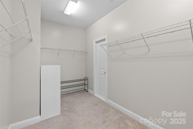 walk in closet with carpet