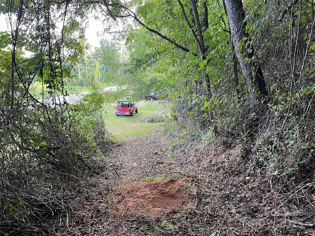 view of yard featuring a forest view