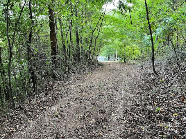 view of nature featuring a wooded view