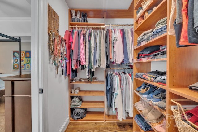 walk in closet with wood finished floors