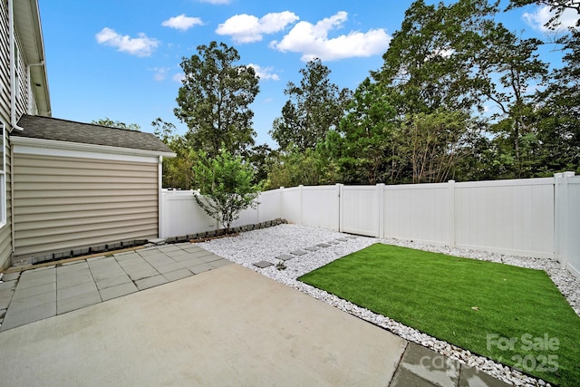 view of yard with a fenced backyard and a patio area