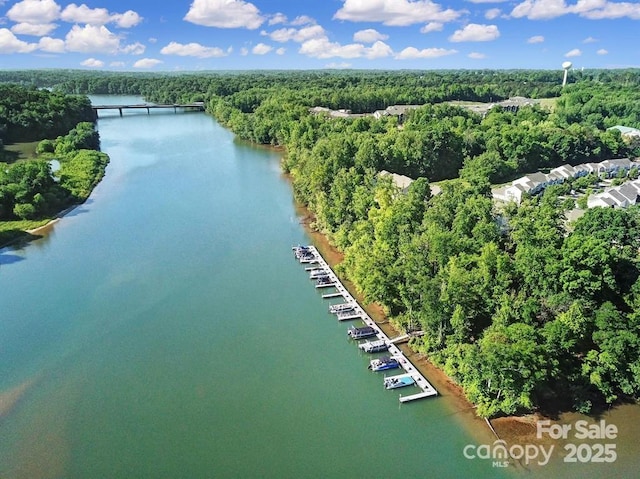 bird's eye view with a forest view and a water view