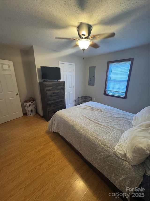 bedroom featuring light wood finished floors, ceiling fan, a textured ceiling, and electric panel