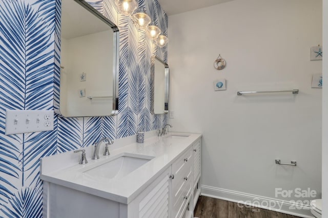 bathroom with a sink, baseboards, wood finished floors, and double vanity