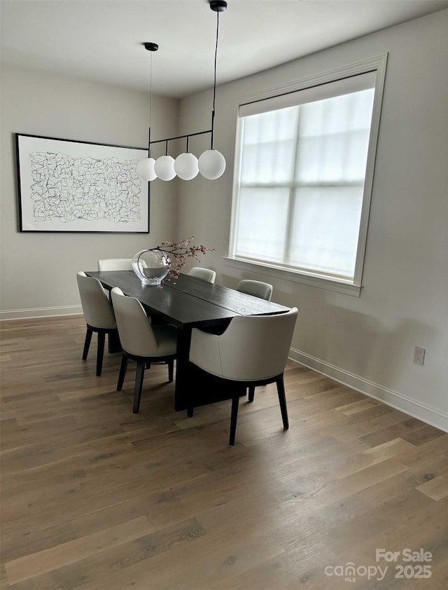 dining room featuring baseboards and wood finished floors