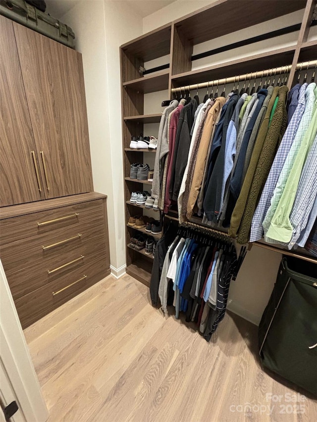 walk in closet featuring wood finished floors