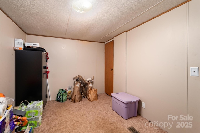 recreation room with visible vents, a textured ceiling, and carpet flooring