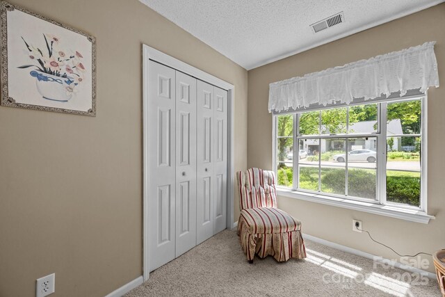 living area with carpet, baseboards, and a textured ceiling