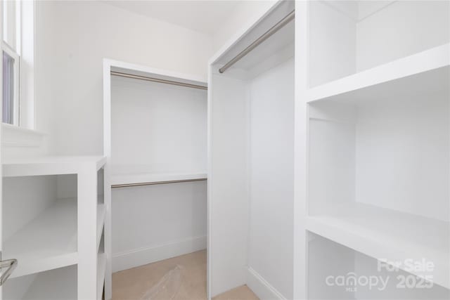 view of spacious closet