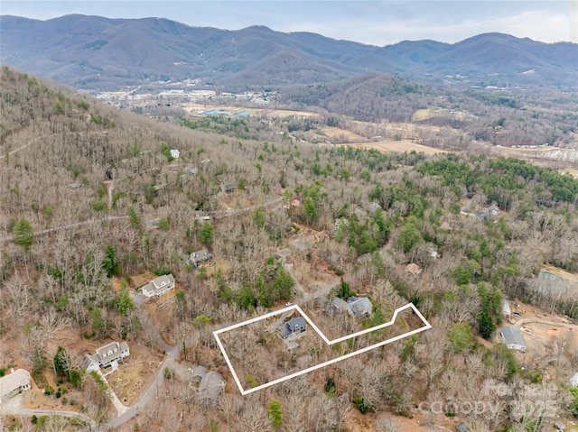 birds eye view of property featuring a mountain view