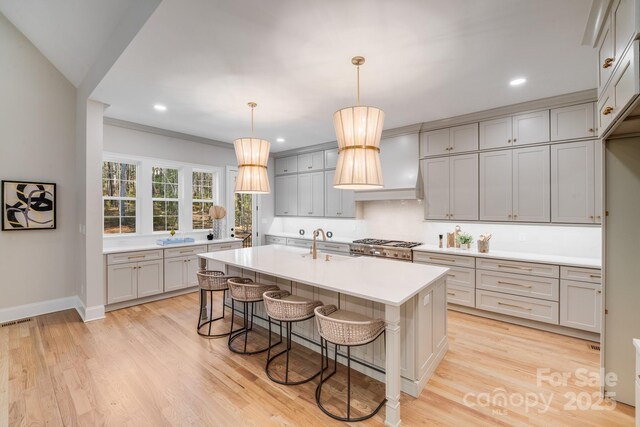 4354 Persimmon Rd, Lancaster, SC 29720 - kitchen featuring visible vents, custom exhaust hood, light countertops, a sink, and gray cabinetry