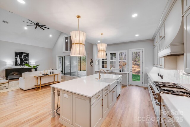 4354 Persimmon Rd, Lancaster, SC 29720 - kitchen with glass insert cabinets, premium range hood, visible vents, light wood finished floors, and a sink
