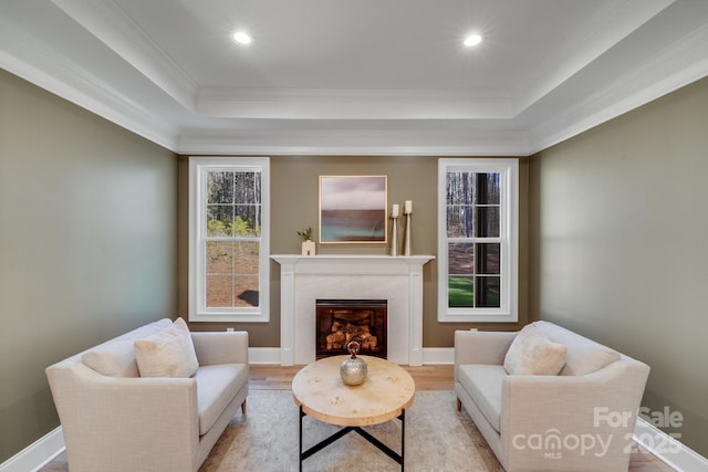 4354 Persimmon Rd, Lancaster, SC 29720 - living room featuring ornamental molding, a raised ceiling, and a premium fireplace