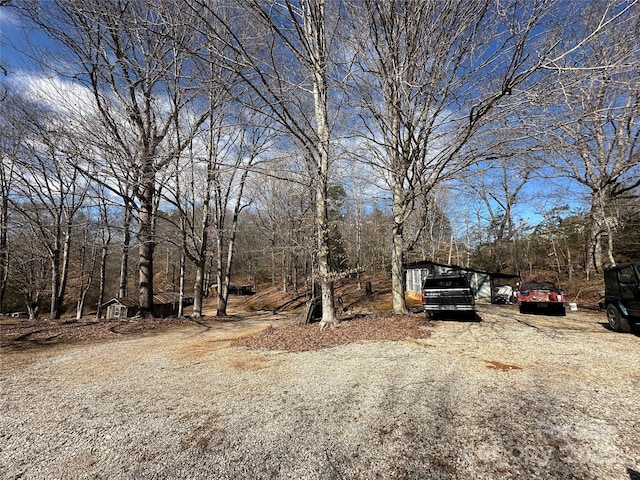 view of yard with dirt driveway